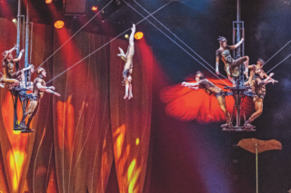 Cirque du Soleil, «OVO»